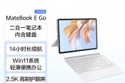 华为matebook e go和天迪工控（tardetech）td-rpad-in1215能否指出两者之间性能差异？多语言支持哪个产品更优？