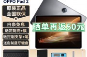 oppo pad2平板电脑二合一平板学生网课学习娱乐办公游戏 8g 256g星云灰 官方标配和三星（samsung）tabs6lite在稳定性测试中哪一个更稳固？区别在材料质量上吗？