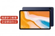 华为c5-10 bzt4-al10和华为（huawei）matepad pro13.2区别是否体现在品牌声誉上？大规模部署哪个更适合？